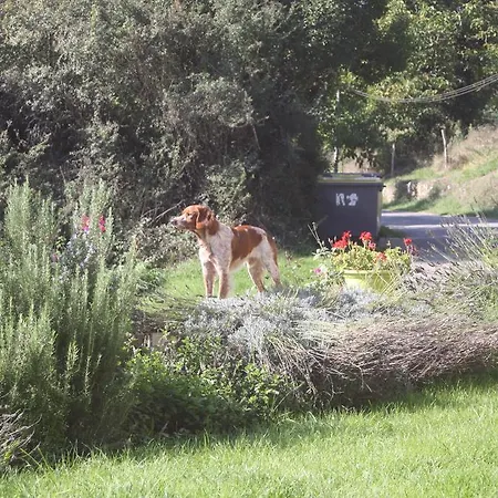 Feriehus De La Mothe Marnac