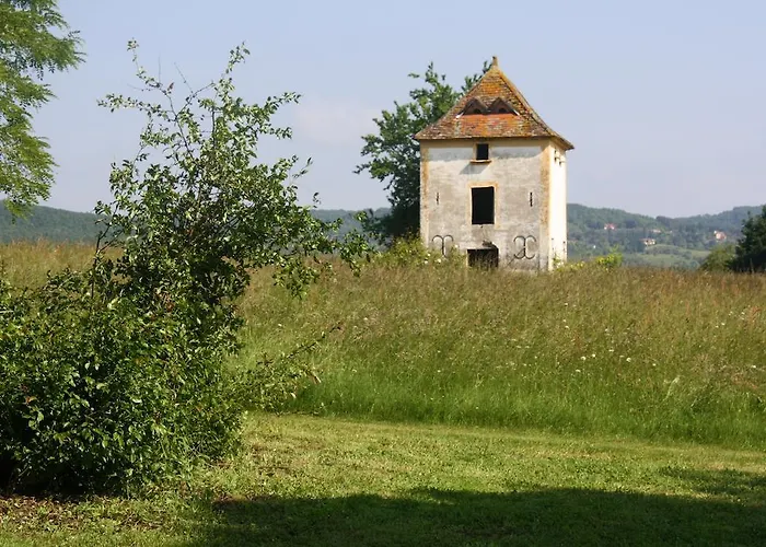 Vakantiehuis De La Mothe *