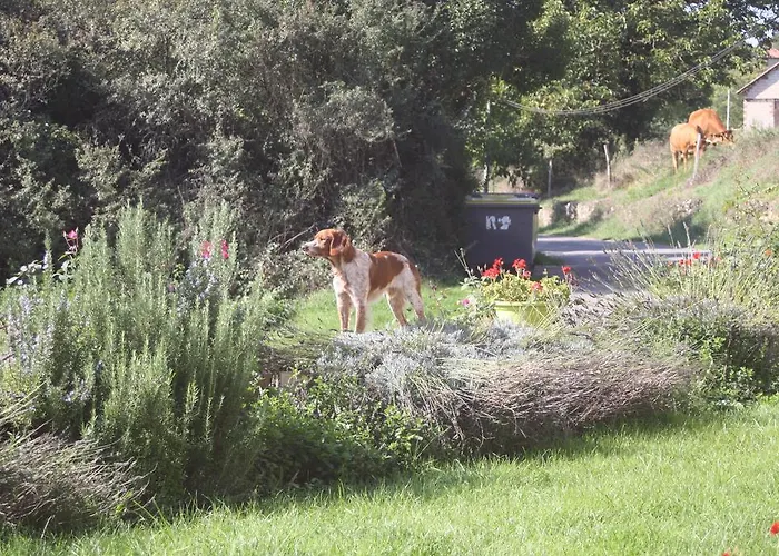 Vakantiehuis De La Mothe Marnac