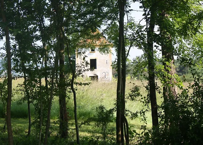 De La Mothe